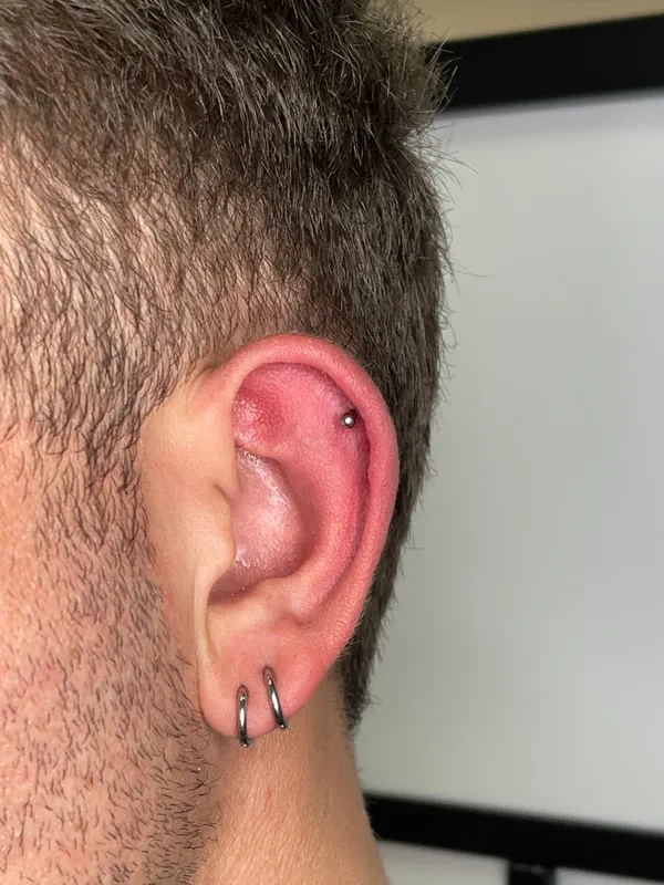 Piercing helix com joia em titânio, feito no Lonely Hearts Club Tattoo, Torres Vedras